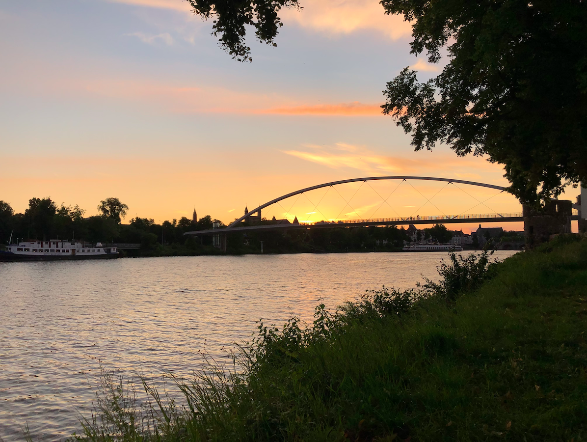 Interconnection: Where Yoga and Climate Action Meet